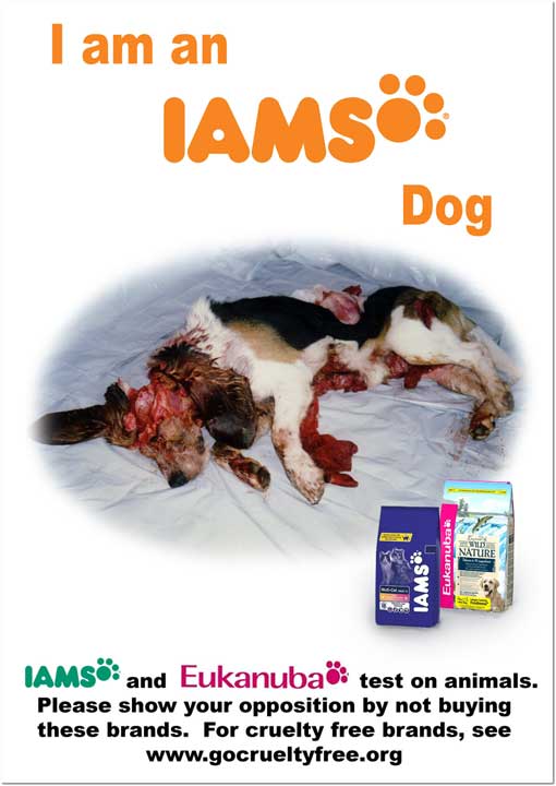 animal-experimentation-iams-poster