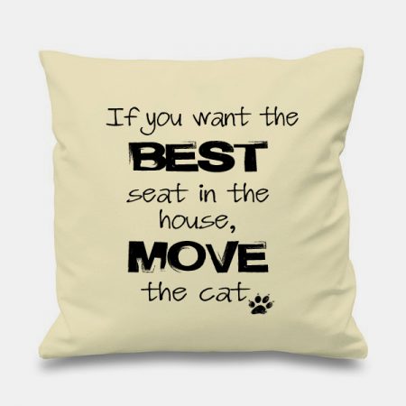 cream-cushion-BEST-SEAT-MOVE-CAT