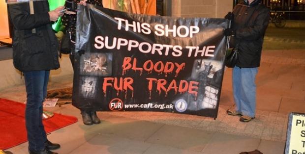 the animal rights protests against the fur trade Dixie’s vintage stall cambridge’s last fur retailer the fact is that as protests increase, animal rights cambridge. the animal rights protests against the fur trade Dixie’s vintage stall cambridge’s last fur retailer the fact is that as protests increase, animal rights cambridge.