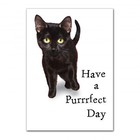 hellocatpurrrfectdaycard-2