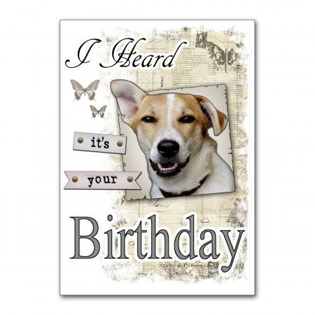 love-romanian-underdogs-heard-its-your-birthday-will