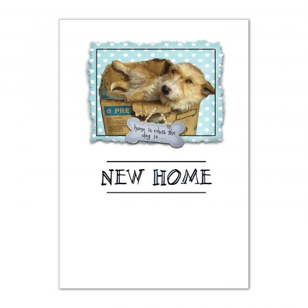 sfp-home-sweet-home-new-home